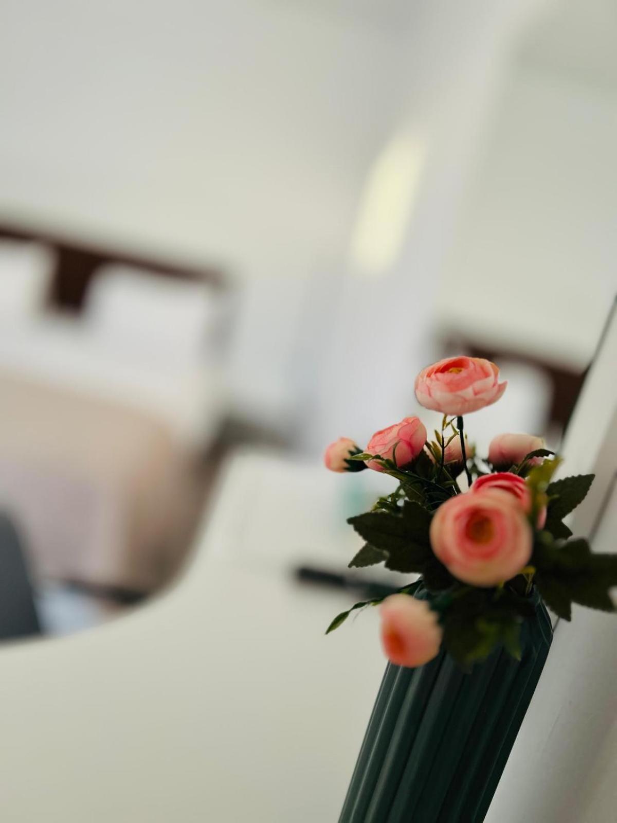 Casa Irina 2Mai Hotel 2 Mai Ngoại thất bức ảnh